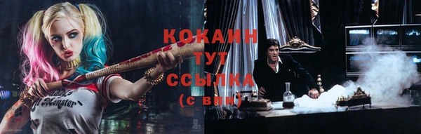 мяу мяу мука Аркадак