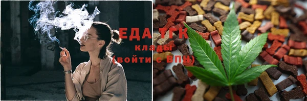 тгк Армянск