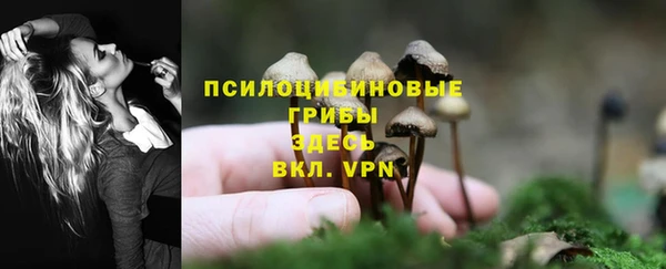 синтетический гашиш Арсеньев