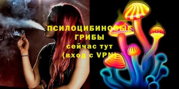прущие грибы Алексин