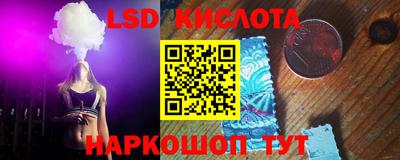apvp Свободный