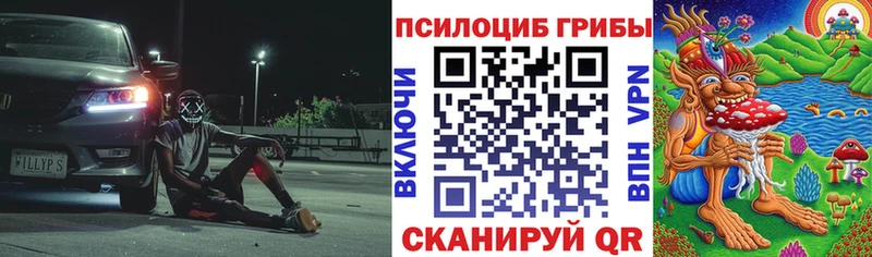 Псилоцибиновые грибы мицелий  Пушкино 