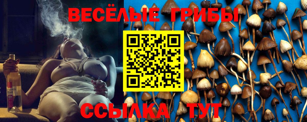 Пушкино  Галлюциногенные грибы GOLDEN TEACHER  Вход с VPN 